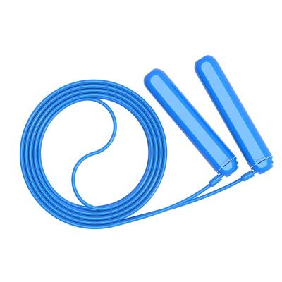 China Plastic Best Quality Skipping Jump Rope Counter Jump Rope No-Rope For Simple Jumps for sale