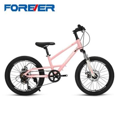 China 20 inch carbon steel bicycle mountain bike frame china mountainbike high steel forever for sale