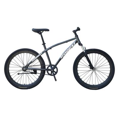 China 2021 steel china cheap design mtb mountain bike new 26 inch bike for sale