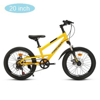 China Hot Fashion 20 Inch Kids Bikes 7 Speed ​​Carbon Steel Frame Children's Bicycle Steel Children's Bike for sale