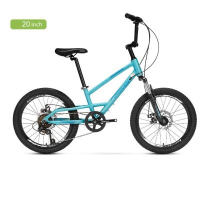 China Forever hot sale mountain bike steel factory price china mountain bike 20 inch kids mountainbikes for sale