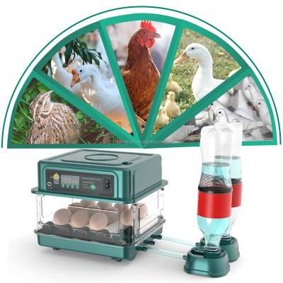 China Chicken birds pigeon quail Customized 38 Egg Poultry Dual Power Supply Automatic Capacity Egg Incubators for sale