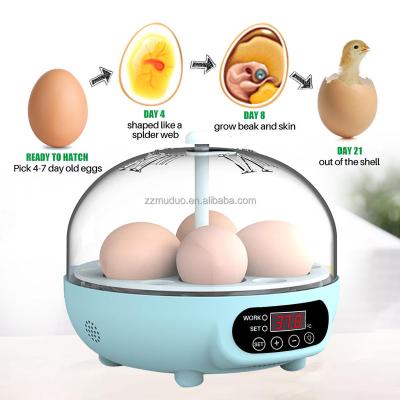 China Chicken birds pigeon quail High Quality Direct Current Chicken 6 Egg Fully Automatic Incubators Hatching Eggs for sale