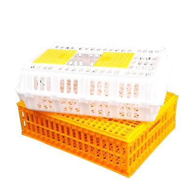 China Chicken Hot sales plastics transport poultry layer cages egg chicken poultry farm for sale