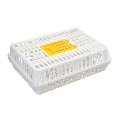 China Chicken Factory Price Yellow White Layer Box Farm Equipment Cages For Chickens Plastic for sale