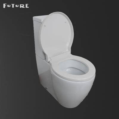 China Modern Ceramic Double-Flow Seat Washdown Bathroom Set Chinese WC Woman Triangle Two Piece Toilet for sale