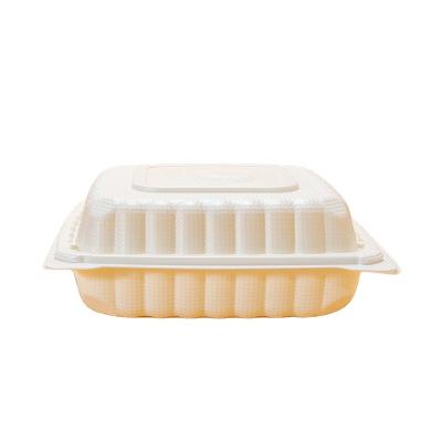 China Factory direct sales high quality biodegradable chicken boxes plastic packing box with handle for sale