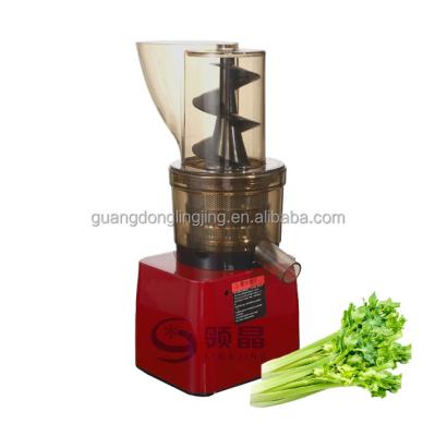 China Hotels 500W Commercial Masticating Big Mouth Slow Speed Cold Pressed Celery Fruit Juice Extractor for sale