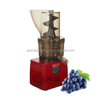 China Hotels 500W Commercial Masticating Big Mouth Slow Speed Cold Pressed Grapes Juicer for sale