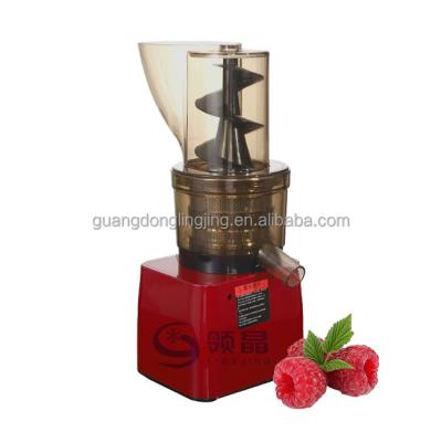 China Hotels 500W Commercial Masticating Big Mouth Slow Speed Cold Pressed Raspberry Juicer for sale