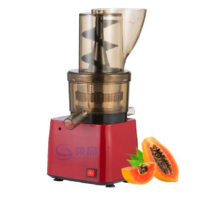 China Hotels 300W Easy to Use 4'72'' Wide Mouth Papaya Cold Pressed Slow Juicer Machine for sale