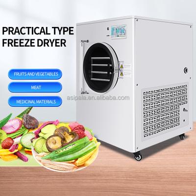 China Fruit Small Medium Large Size Lyophilizer Freeze Dryer Machine for Lab Home Food Dryer Home Vacuum Freeze Dryer for sale