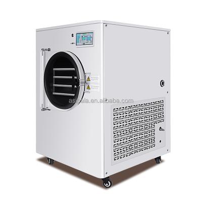 China Fruit Small Medium Large Home Vacuum Freeze Dryer for sale