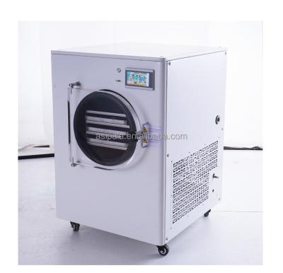 China Fruit 1-10kg Vacuum Fruit Freeze Drying Dried Machines Mini Vegetables Lyophilizer Food Freeze Dryer for sale