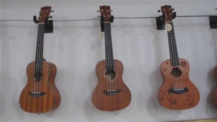 Verified China supplier - Guizhou Gecko Musical Instruments Co., Ltd.