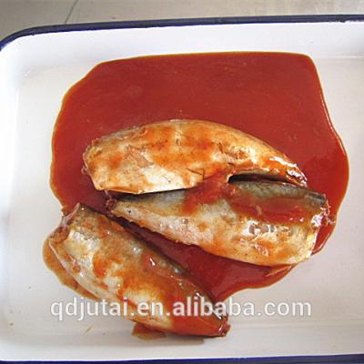 China Canned canned mackerel in tomato sauce product factory price 2016 for sale