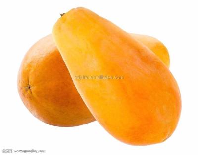 China Dry sell 100% pure and wholesale freeze-drying papaya for sale