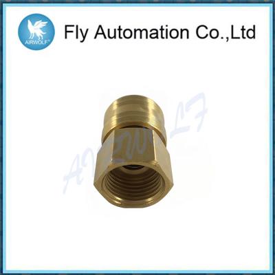 China Coupling Plug G1/2