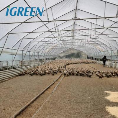 China 1m/1.5m/2m Zinc Coating 275gsm Wrought Iron Greenhouse for Duck or Chicken for sale