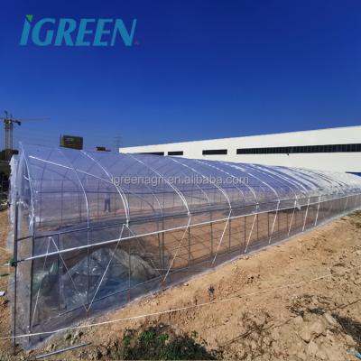 China Commerciële Hydroponische Plastic Film Groenhuis voor Multi-Span Landbouw Groenhuizen Te koop