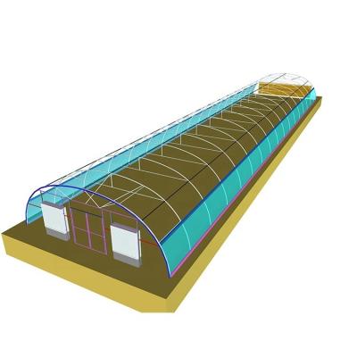 China IGreen 150/200Mikron Plastikfolie Gewächshaus für Golfländer zu verkaufen