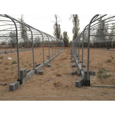 China Small IGreen Vegetable Planting Greenhouse With Hydroponic Systems for Optimal Growth for sale