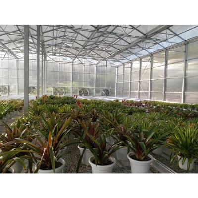 China Grüne, durchsichtige Polycarbonat-Dachplatte aus Kunststoff für den Blumen- und Gemüseanbau zu verkaufen