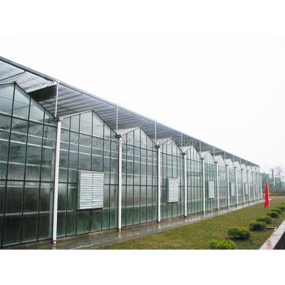 China Greenhouses for Backyard House Outdoor Rainproof Plant Cover Glass Igreen Greenhouse for sale