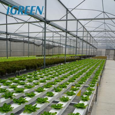 China Gepersonaliseerde lengte IGreen Groente Multi-Span Poly Tunnel kas voor landbouw Te koop