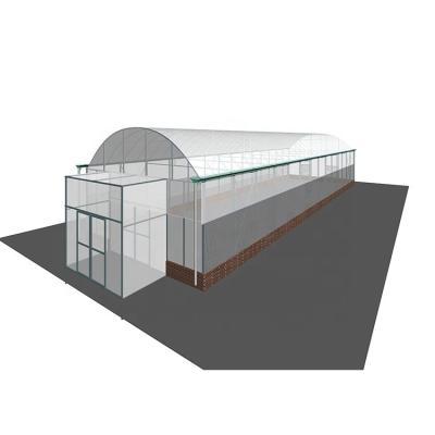 China Large IGreen Multi Tunnel Agricultural Greenhouse with 150/200micron Plastic Film Covering for sale