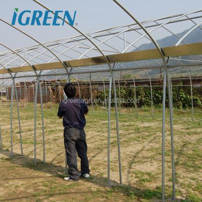 China Large IGreen Agricultural Greenhouses Materials Shade Cloth Greenhouse with No Roof Vent for sale