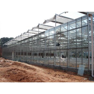 China Greenhouses Used Custom Glass with Side Vent and Roof Height of 3.73-7.73 Meters at 2022 for sale