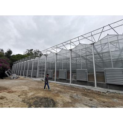 China Large Customized Length IGreen Commercial Polycarbonate Greenhouse for Agriculture for sale