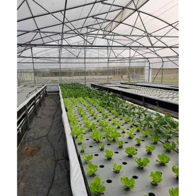 China UV Plastic Film Greenhouse for Garden or Greenhouse Table and Bench Plant Hydraulic System for sale