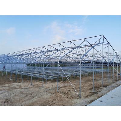 China IGreen Wrought Iron Greenhouse Growtent Roof Height 4.5-6.5m for Flowers and Vegetables for sale