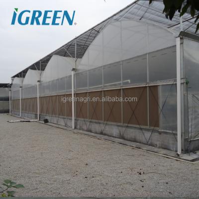 China 7-10m Tunnel Width IGreen Greenhouse for High Wind Resistance in Hot Zone Desertic for sale