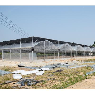 China 7-10m Tunnel Width Greenhouse for Snail Farming IGreen Industrial Irrigation System for sale