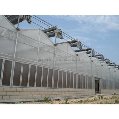 China IGreen PC Board Greenhouse Multi-Span Agricultural Greenhouses with PC Sunshine Board Panels for sale