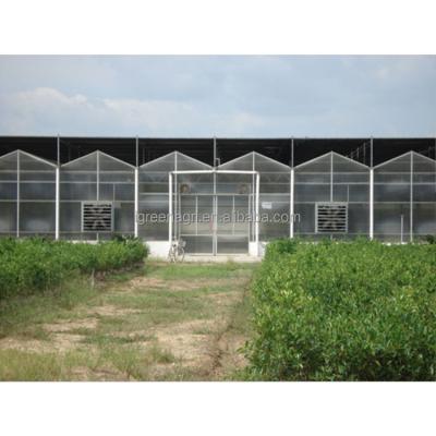 China 9.6m Tunnel Width Polycarbonate Greenhouse for Sustainable Agricultural Practices for sale