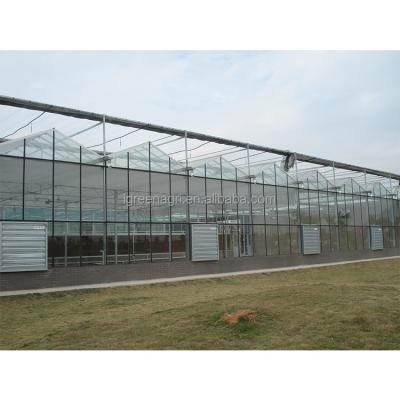 China 3-7m Shoulder Height Galvanized Steel Frame Commercial Glass Greenhouse for Flowers for sale