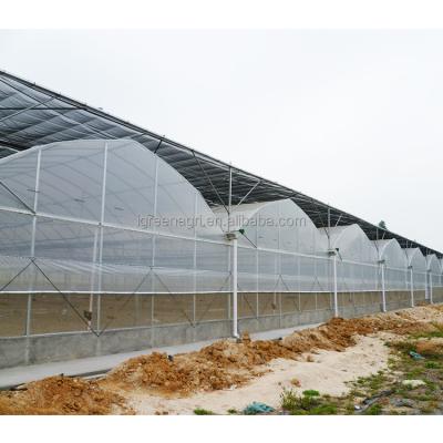 Cina Materiale di superficie di pellicola Sistema di controllo della tenda in serra esterna per ortaggi e fiori in vendita