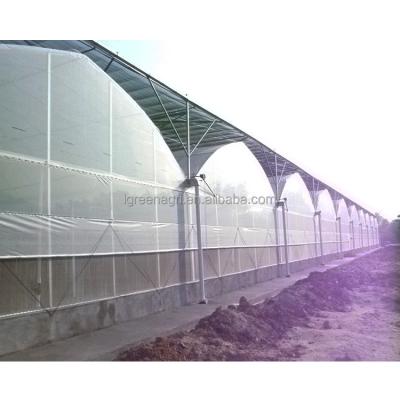 China Customized Length Multi-Span Agricultural Greenhouses in IGREE Eco Green House Design for sale