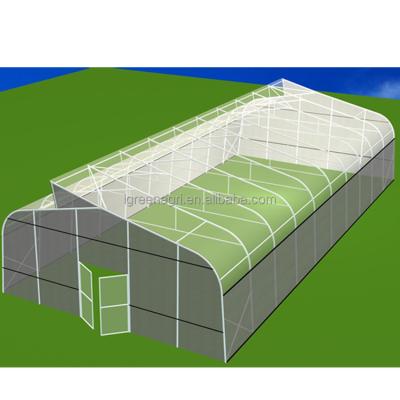 China Película de plástico resistente a los rayos UV de 200 micras para invernaderos agrícolas de sola franja IGreen en venta