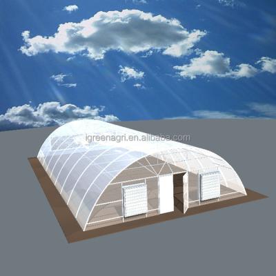 China Single-Span Agricultural Greenhouses IGreen Poly Film Plastic Cover for Greenhouses for sale