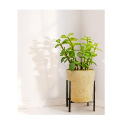 China House Decor Modern Style Steel Plant Stand Adjustable Indoor Plant Stand For Flower for sale