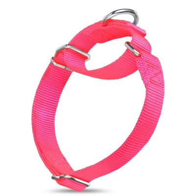 China Custom Pet Training Supplies Heavy Duty Nylon Pet Collars Martingale Dog Collar for sale