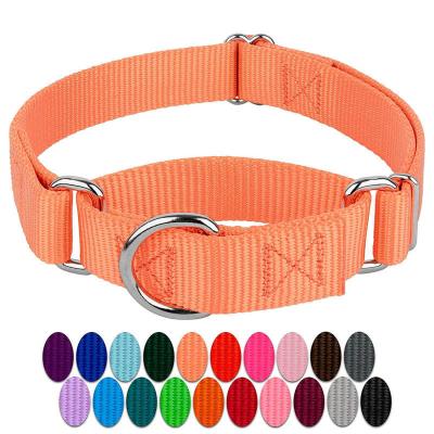 China Lights 2 in 1 High Quality Adjustable Nylon Martingale Dog Training Collar Heavy Duty Customizable Dog Collar for sale