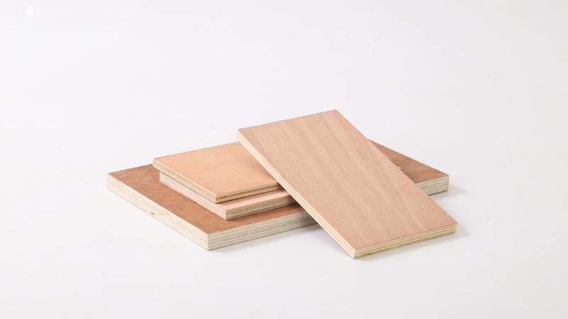 Verified China supplier - Lianyungang Chanta International Wood Co., Ltd.