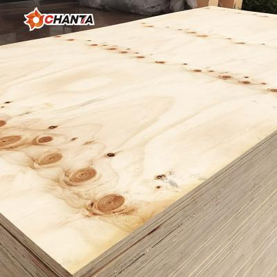 China Low price modern hot selling structural sheet 18mm cdx radiata pine plywood for furnature for sale