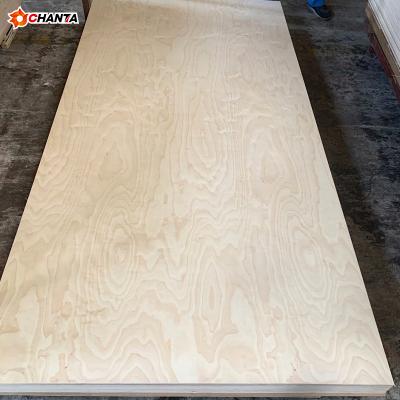 China Modern B-2 Vietnam Birch Plywood and Vietnam Birch C2 White Birch Plywood and Vietnam Birch Plywood for sale